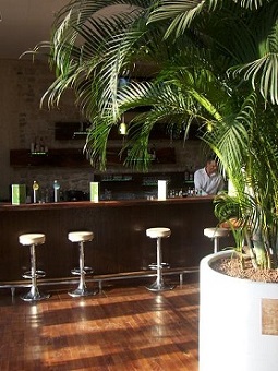 Areca_lutescens_Palm_Gastronomy_luxembourg_plant_shop_online