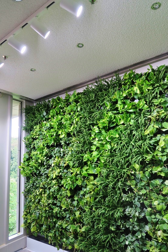 Pflanzenlicht LED topp modern greenwall