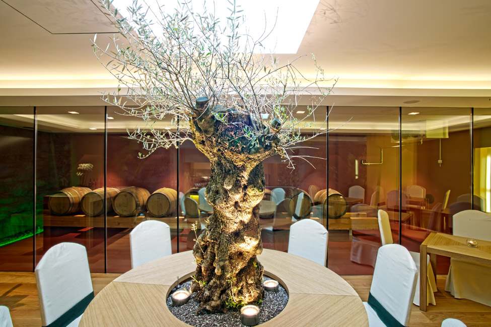 Hotel Innerleiterhof italien weingut olea europaea