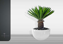 BotanicInternational2012Prospekt