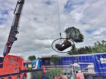 Bonsai delivery Delivery with truck crane