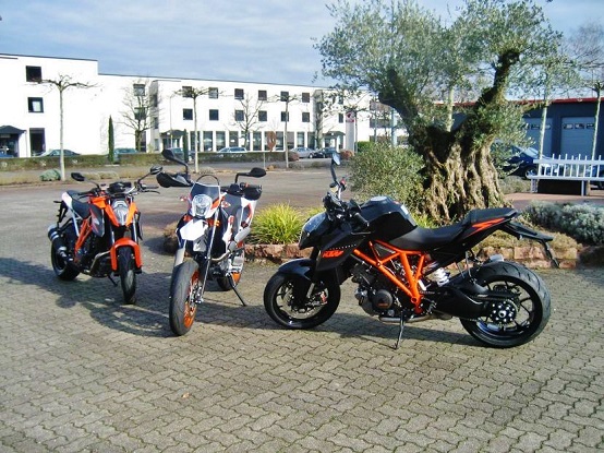 Mediterrane Trial-Freaks vor dem Motorradhandel am Olivenbaum - Raum Karlsruhe olivenbaum pflanze vor motorradhaus karlsruhe