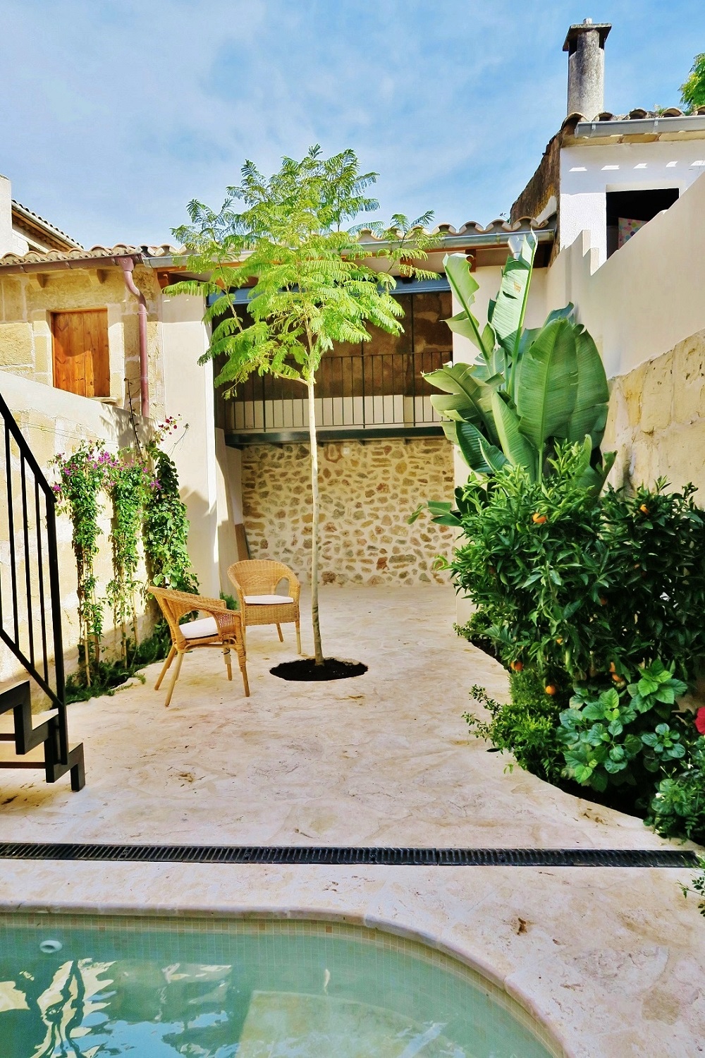 Pflanzen Baum Mallorca patio online planen kaufen