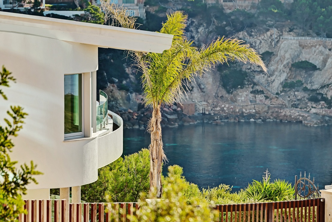Große und hohe Coco arecastrum Palme auf Mallorca - online kaufen cocospalme mallorca ibiza kaufen