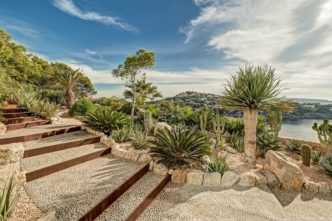 gartenanlage mallorca pflanzen kaufen