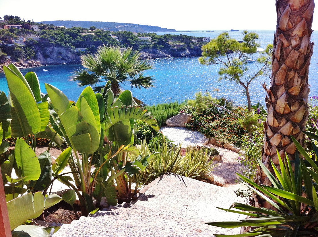 mallorca ibiza pflanzen kaufen