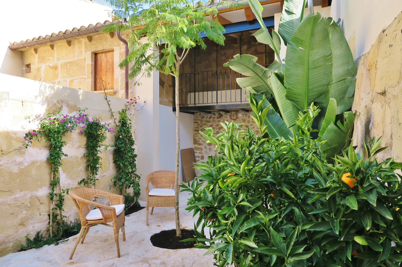 Patio pflanzen Begruenung Mallorca online planen kaufen