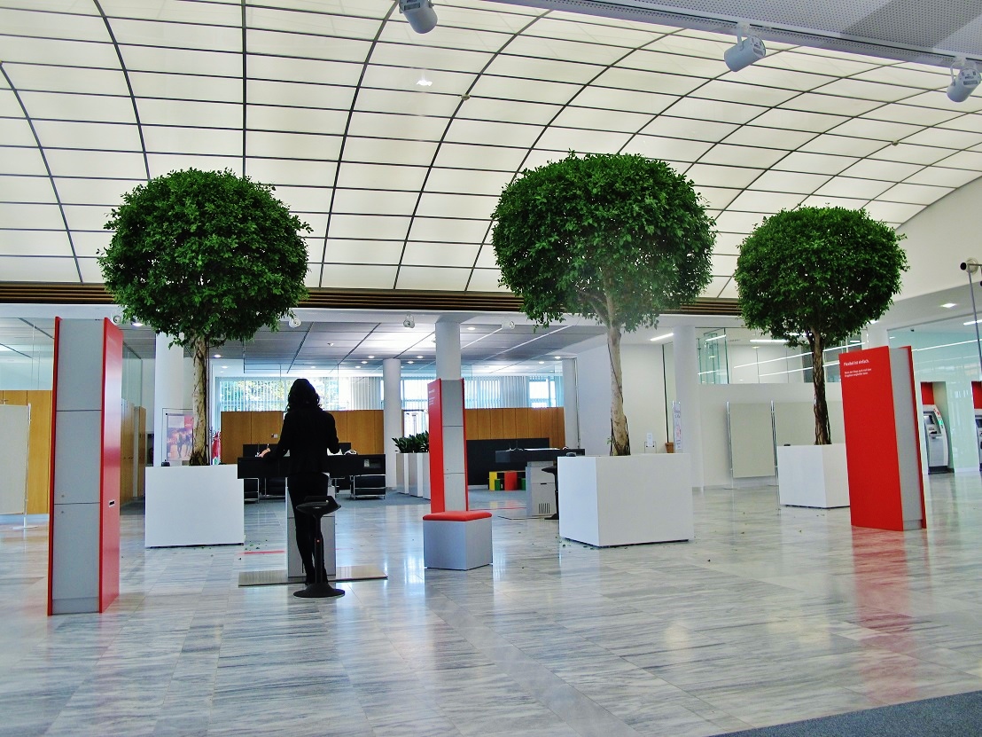 Baum Bankhaus Pflanzen Innenraum kaufen