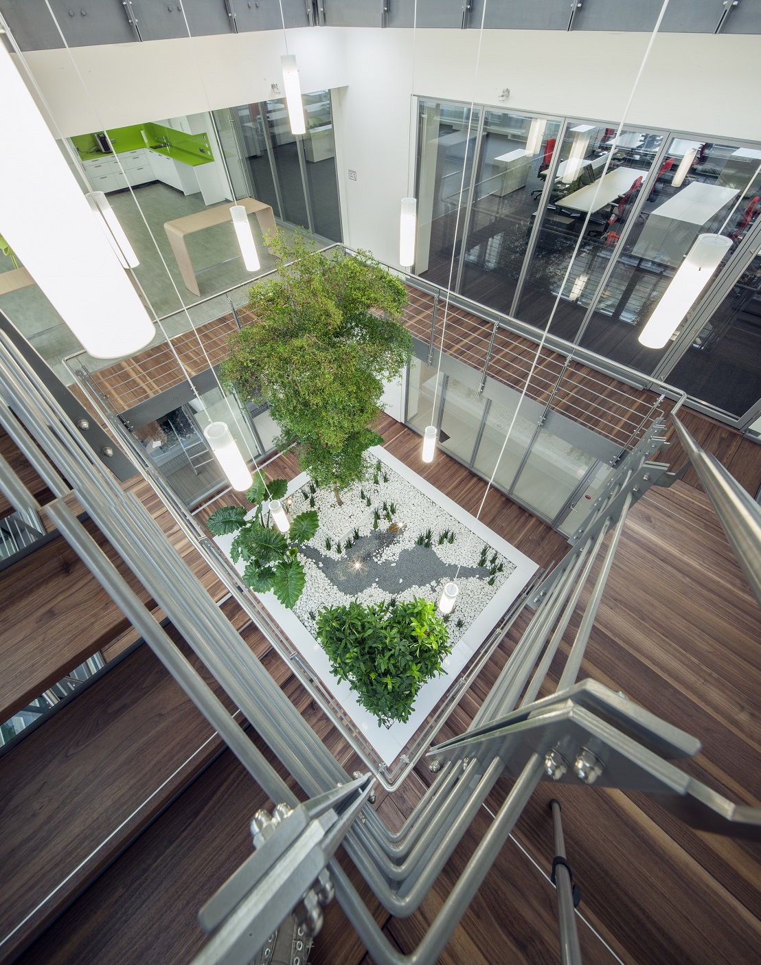 Big tropical tree interior lobby and atrium - Norway, Finland, Sweden, Denmark - Europe buy online