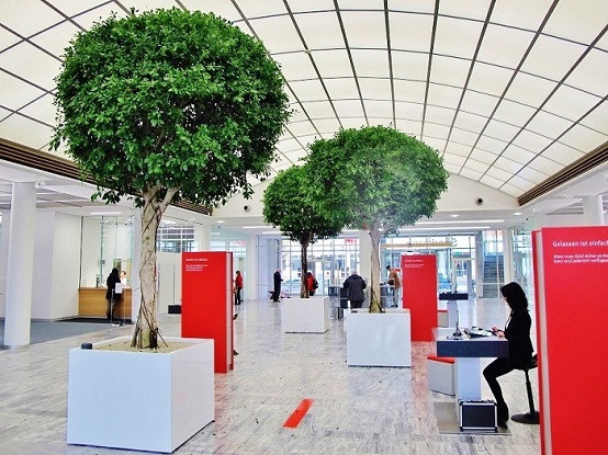 Big tropical tree interior lobby and bankhouse - Norway, Finland, Sweden, Denmark - Europe buy online