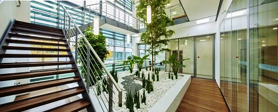 Atrium Begrünung nach einer Bildmontage atrium pflanzen bepflanzung muenchen nach bildmontage