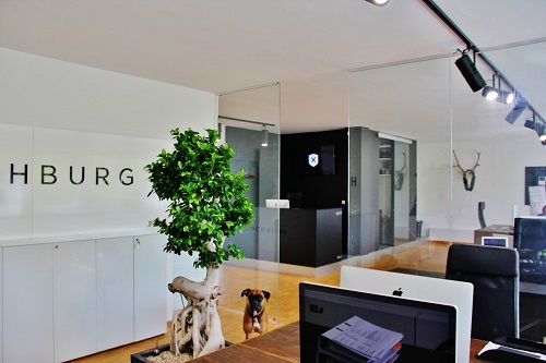 Bürobegrünung Stuttgart Microcarpa Bonsai - online kaufen ficus bonsai stuttgart buerobegruenung kaufen liefern