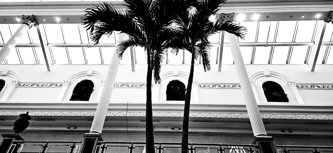 Einkaufszentrum Shopping mall baum pflanzen palme planen kaufen