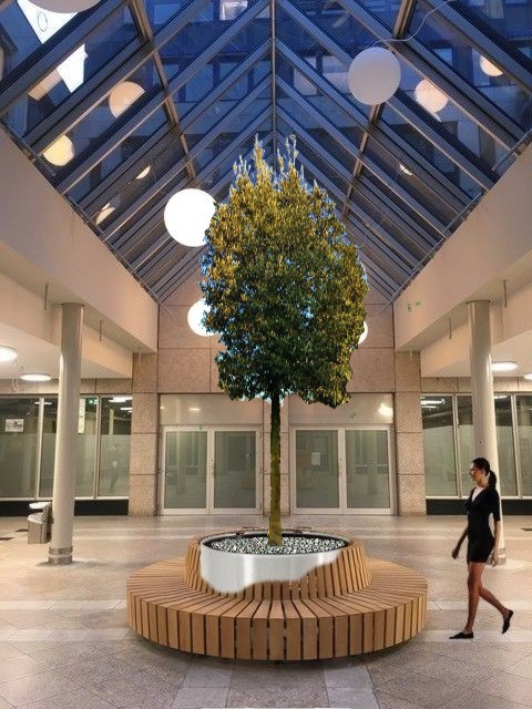 Foto montage indoor tree shopping mall Botanic International foto montage indoor tree shopping mall