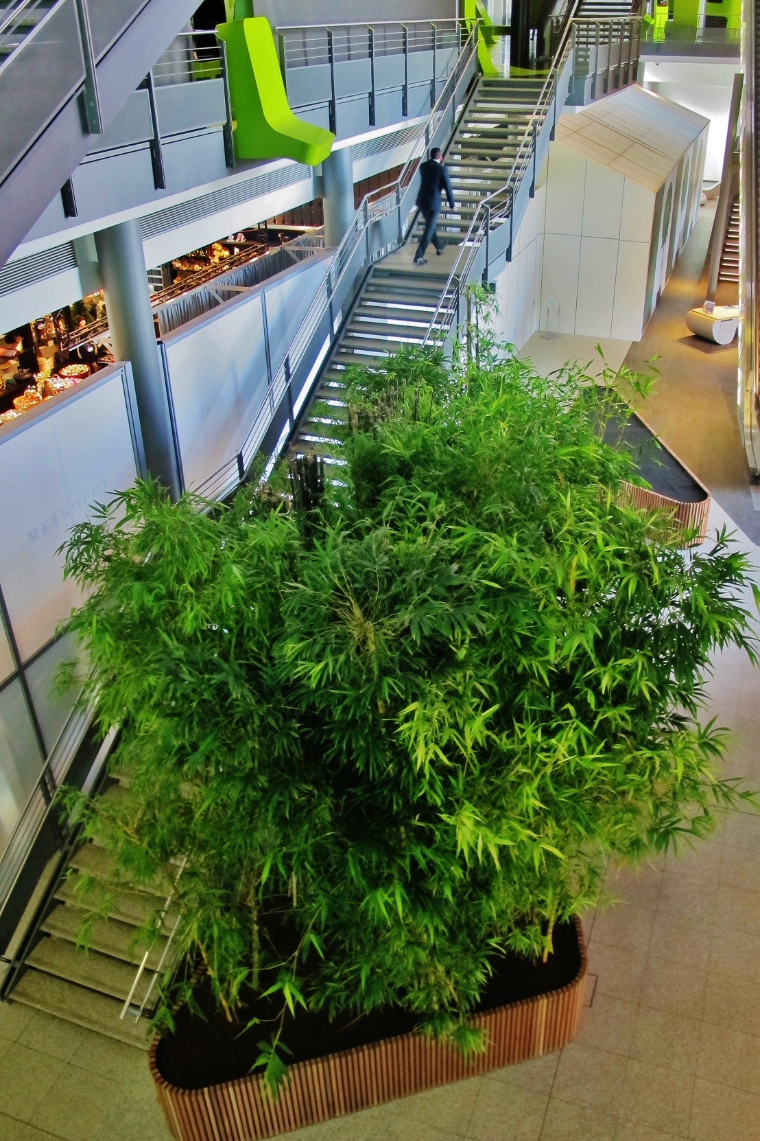 Big tropical tree interior lobby and stairway - Norway, Finland, Sweden, Denmark - Europe buy online