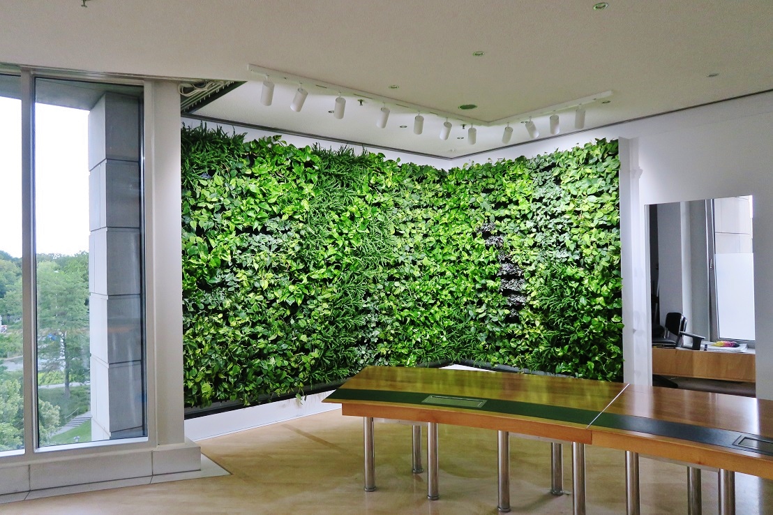 Fertige Greenwall in Ministerium