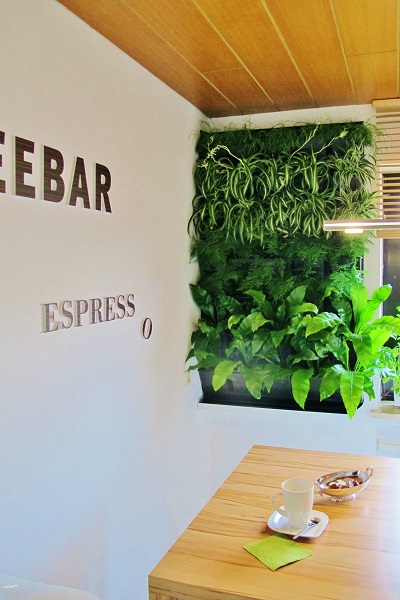 Greenwall also for the small, private area - plan and buy