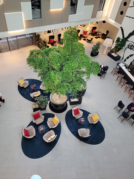 Bucida Baum Innenraumbegruenung pflanze Schweiz Genf Hotel Airport