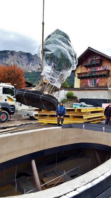 Raumpflanzen kaufen tannheimer tal tirol hotel