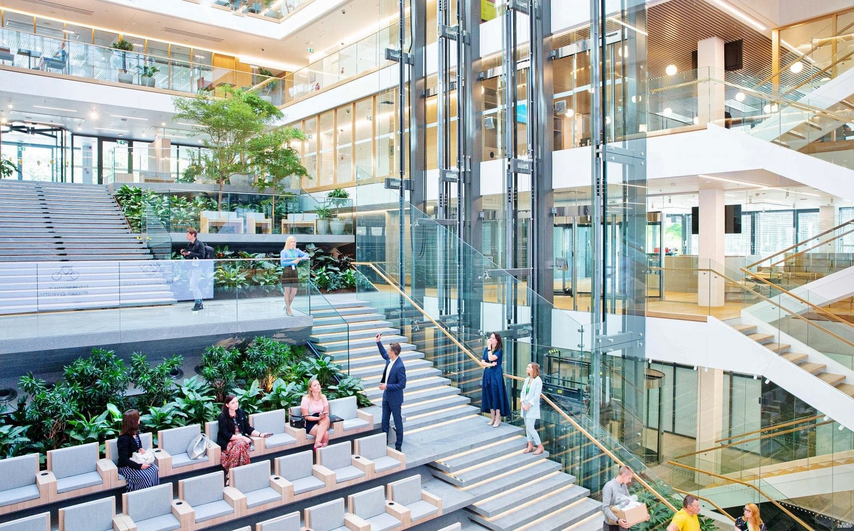 Solitaire tree and plants in the atrium plan and buy online - Lithuania indoor greening Lithuania podium platform
