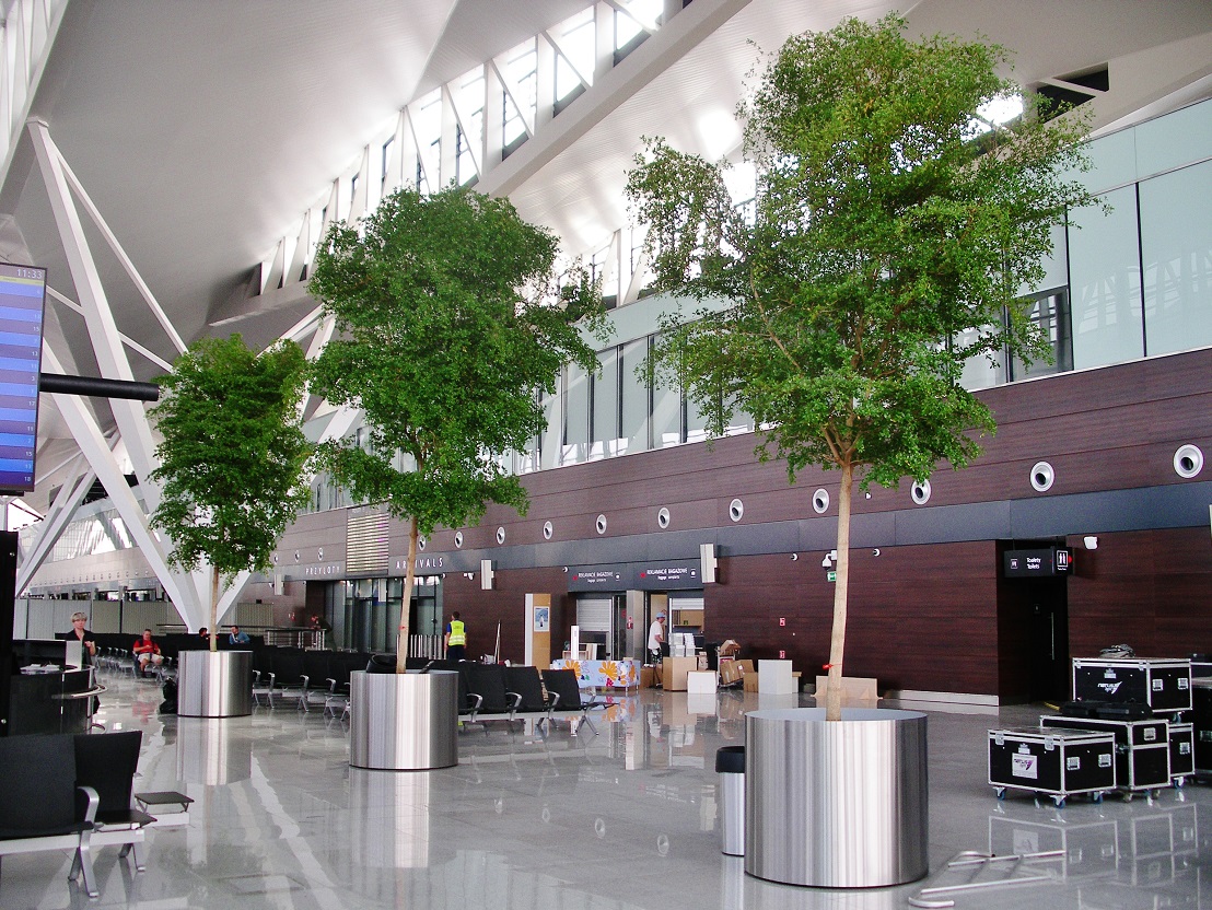 Airport interior landscaping trees poland