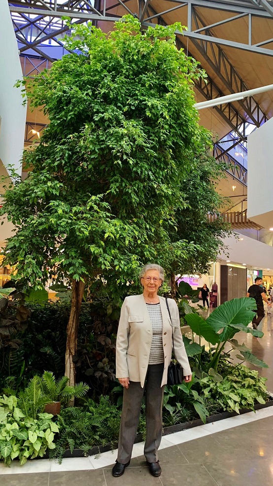 Shopping Mall Madrid - Plantas y árboles grandes de interior compra planificación y ejecución. - Botanic international Plantas y árboles grandes de interior compra planificación y ejecución