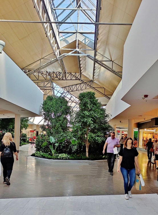 Shopping Mall tropical trees buy planning online botanic international