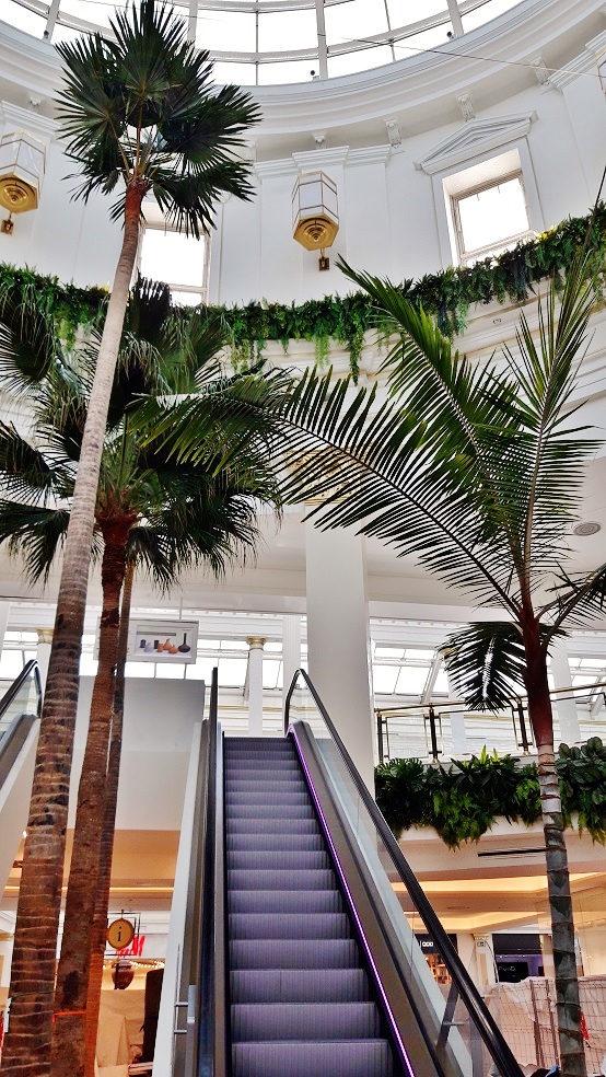 palm escalator shopping mall plants buy