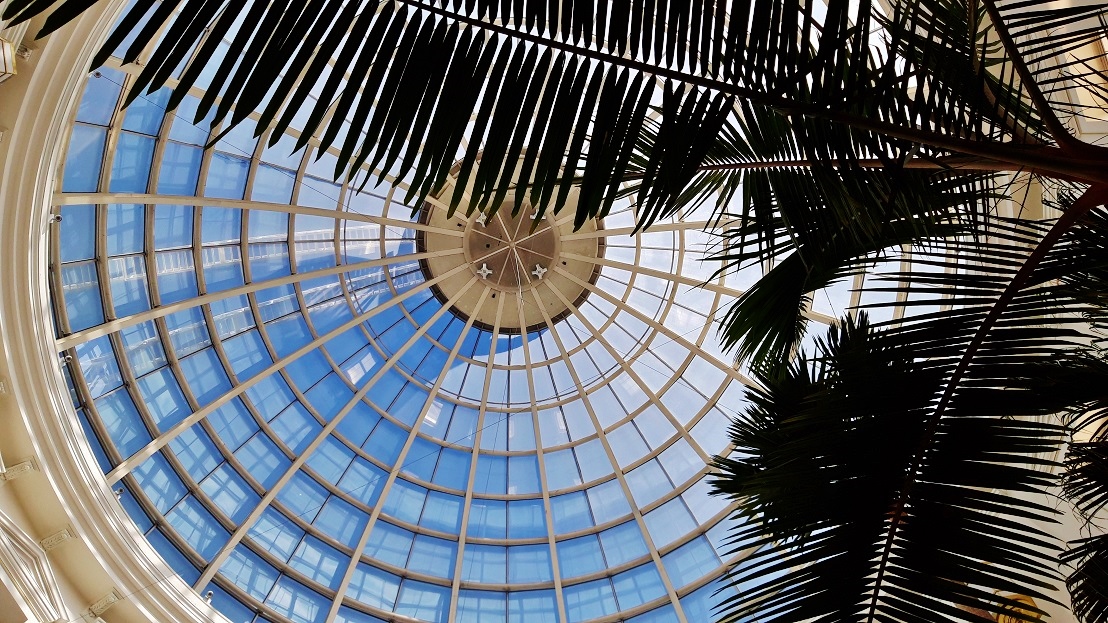 Shopping mall center greening with big plants, trees and palms - Botanic International and Green-Management.org Plantas y árboles grandes de interior compra planificación y ejecución.