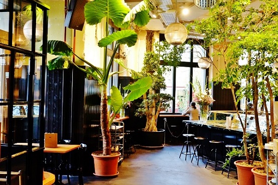tropical plants gastronomy switzerland