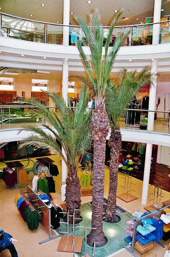 Palmen modehaus bekleidungshaus stuttgart kaufen