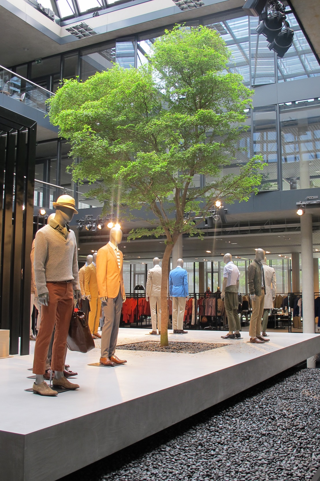 Tree and big plants in fashion house, clothing store and boutique buy online