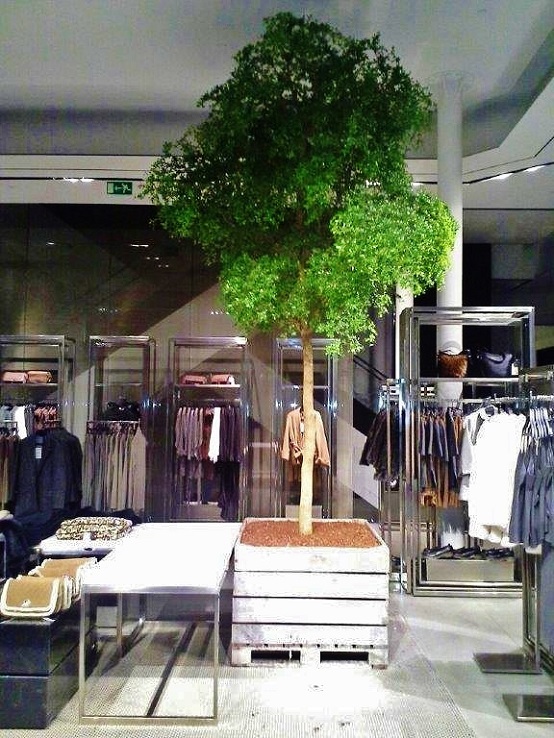 Pflanzen für Modehaus, Boutique und Bekleidungshaus online planen und kaufen pflanzen boutique modehaus bekleidungshaus kaufen