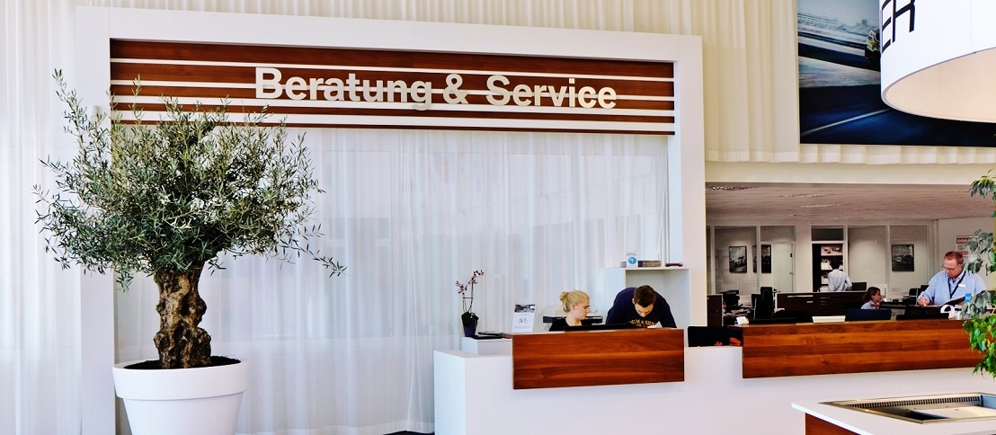 Olivenbaum im Autohaus Olivenbaum pflanze autohaus kaufen
