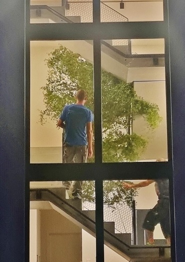 Baum im Treppenhaus online kaufen Baum im Treppenhaus