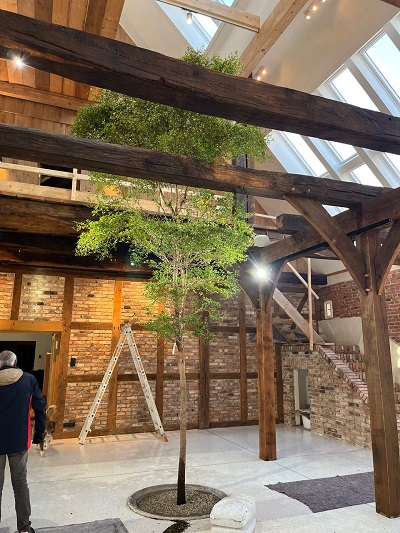 Baum im raum bodenpflanzung planen kaufen online