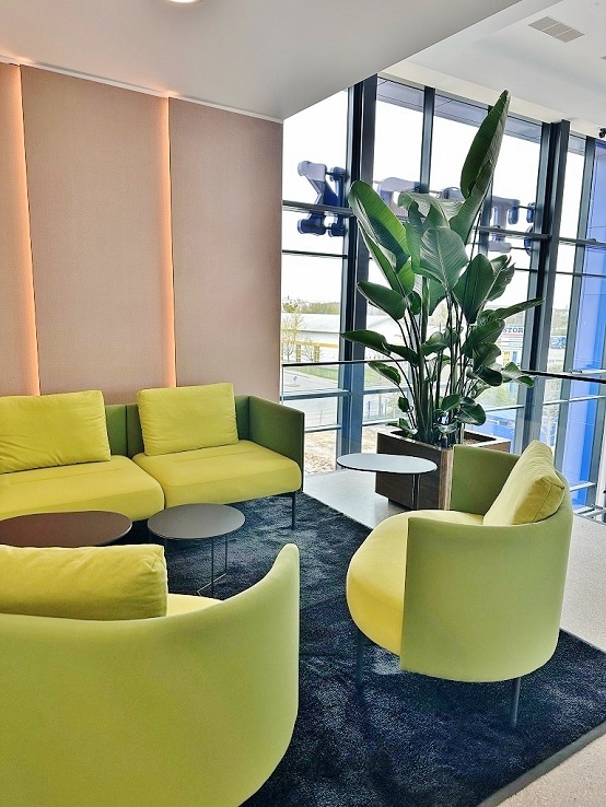 Strelitzia nicolai lounge bereich in wuerfel 200cm kaufen