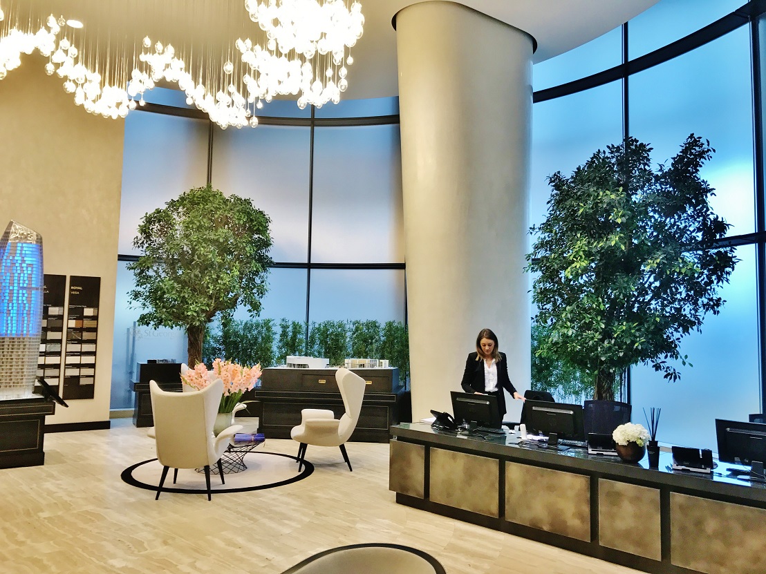 London- Foyer mit Ficus nitida Bäume gegen Hall und Schall - und dazu noch schön anzusehen Eingangshalle Empfang Ficus nitida London Pflanzen kaufen