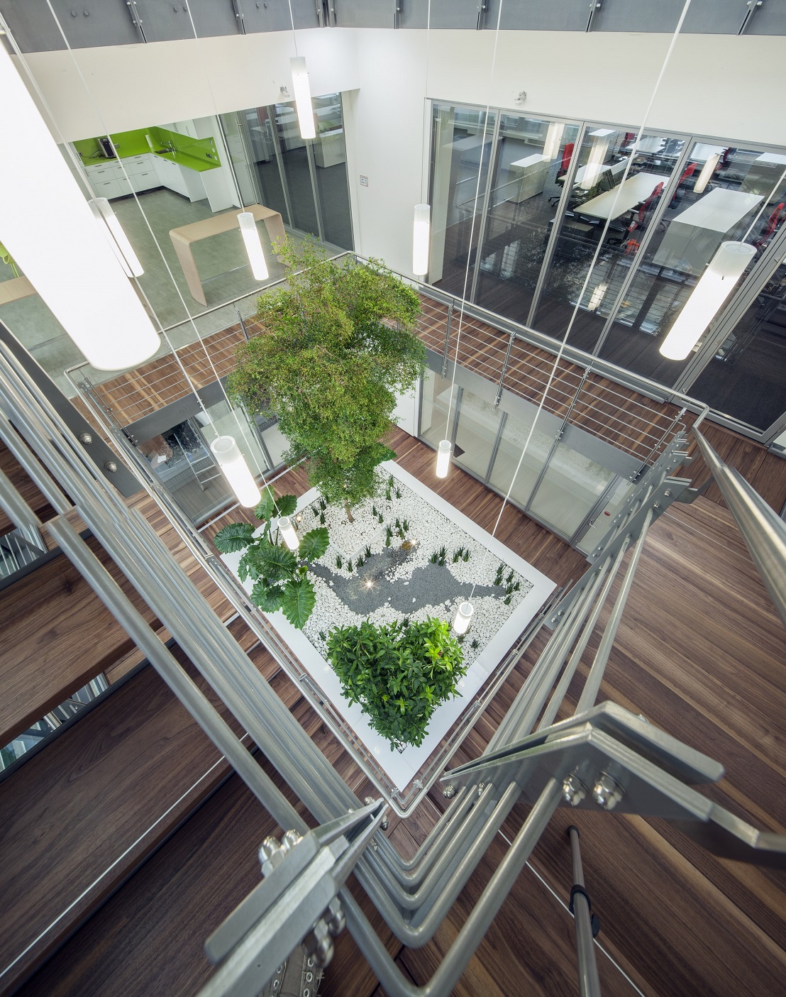 Treppenaufgang mit Atriumbegruenung bucida baum kaufen muenchen