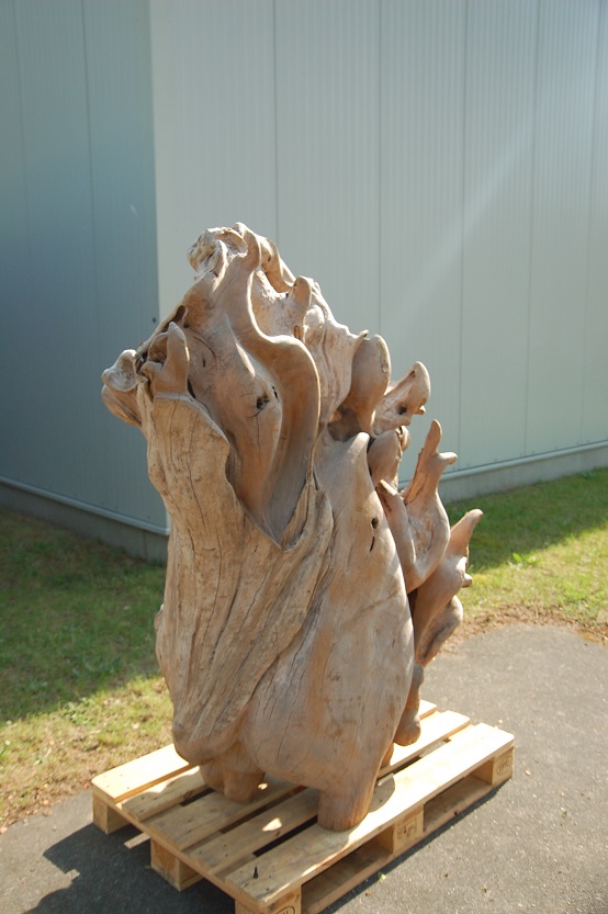 Tropenholz niedrig