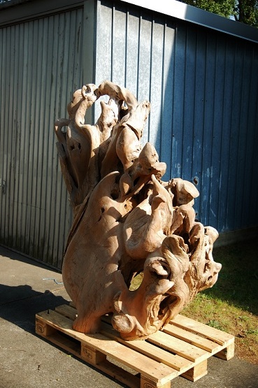 Tropenholz naturwurzel Nr.4027 kaufen