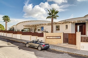 Washintoniapalme outdoor villa mallorca Washingtonia Palmenpflanzung