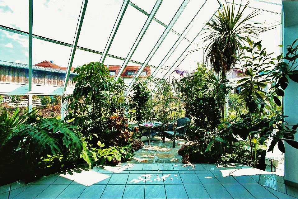 conservatory_wintergarden_planting_greening_tropical_exotic_plants_online_shop