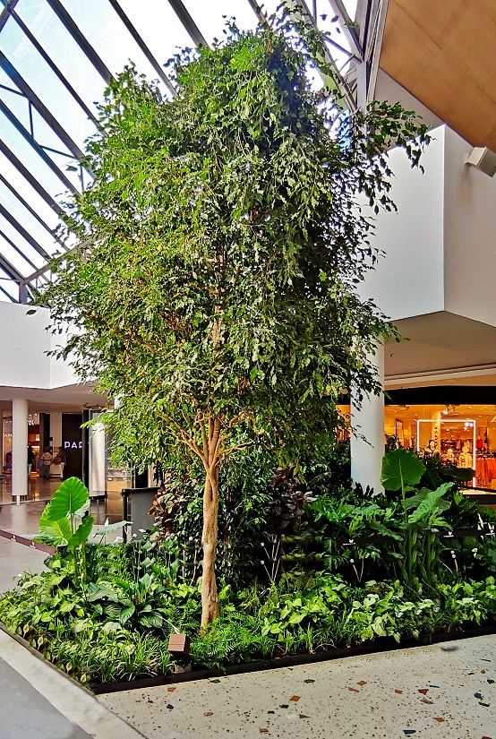 Shopping Mall Madrid tropical trees botanic international