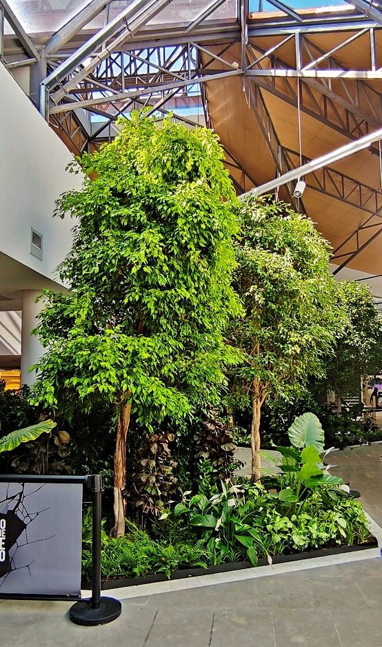 Shopping mall design with plants in Mongolia - iXtenso – retail trends