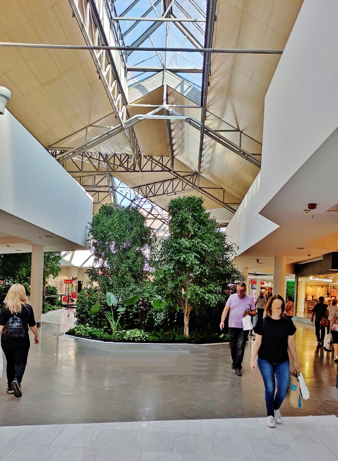 Shopping mall tropical trees buy planning botanic international