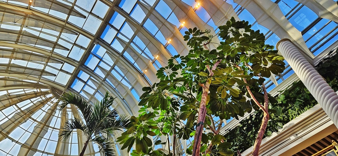 big trees greening shopping mall interior botanic international europe wide
