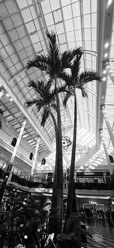 palms shopping center interior buy planning botanic international europe