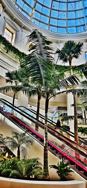 palms trees greening shopping center interior botanic international