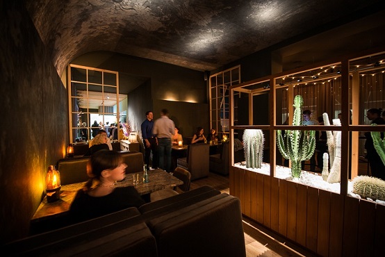 Kakteenbegrünung - Berlin Restaurant - planen und online kaufen gastronomie berlin begruenung kaktus kakteen kaufen